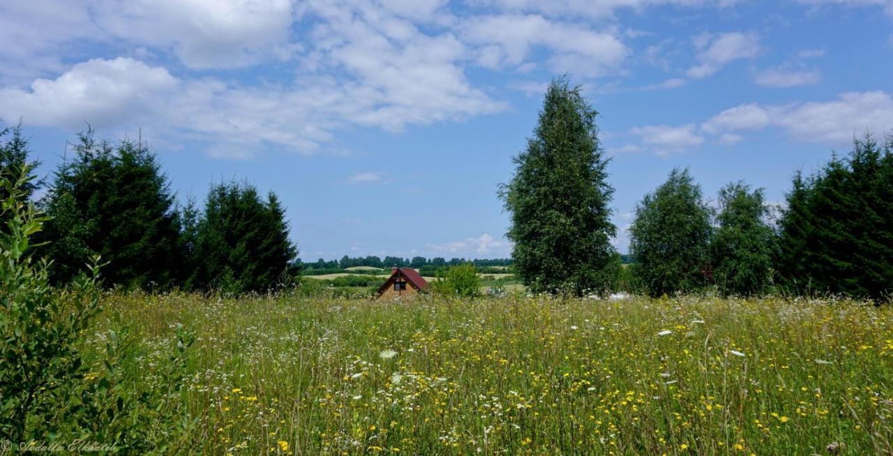 Caloroczne Domki Nad Jeziorem Luterskim Piszewo Exterior photo