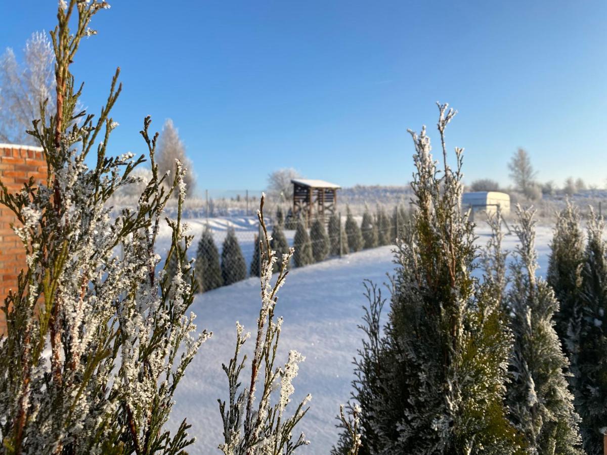 Caloroczne Domki Nad Jeziorem Luterskim Piszewo Exterior photo